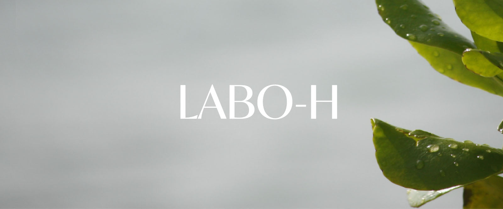 LABO-H.
