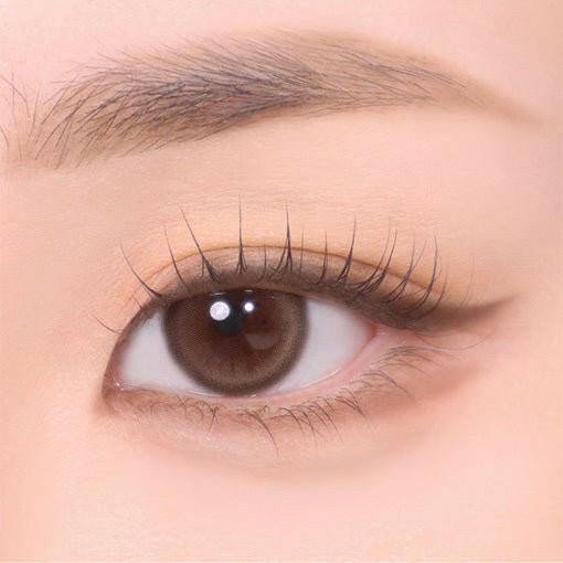 fwee All-twin Dual Liner.