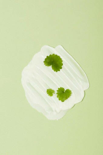 papa recipe Tea Tree Control Cleansing Foam 120ml.
