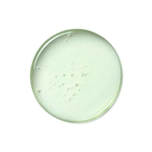 ViveLab Revi Solution Anti Hair Loss Scalp Shampoo 300ml.