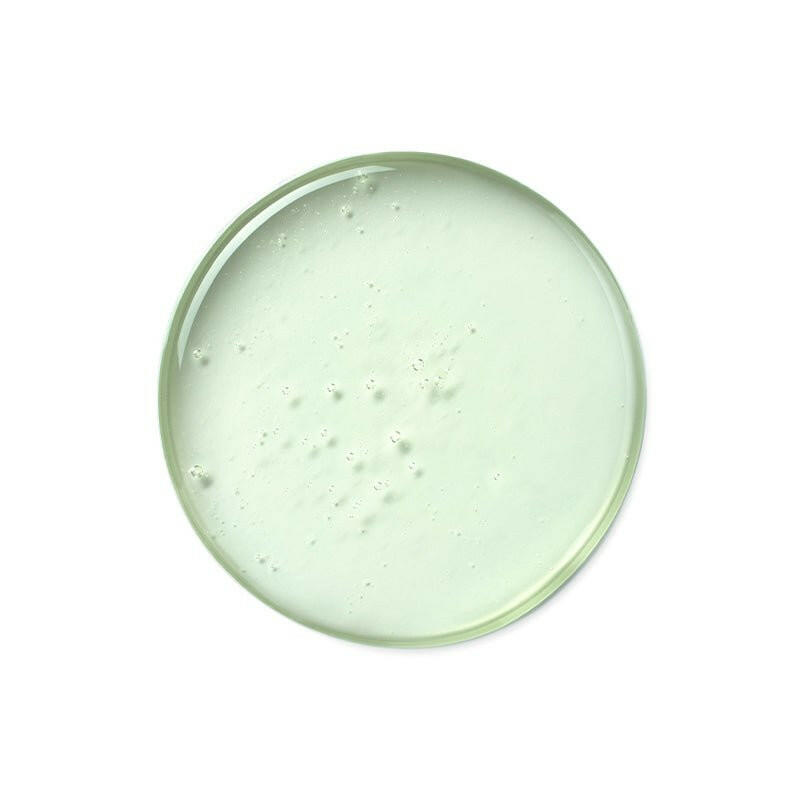 ViveLab Revi Solution Anti Hair Loss Scalp Shampoo 500ml.