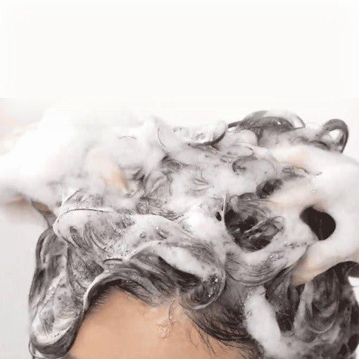 ViveLab Revi Solution Anti Hair Loss Scalp Shampoo 500ml.