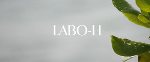 LABO-H