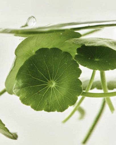[Beauty of Joseon] Light On Serum : Centella + Vita C 30ml - Radiance Revolution