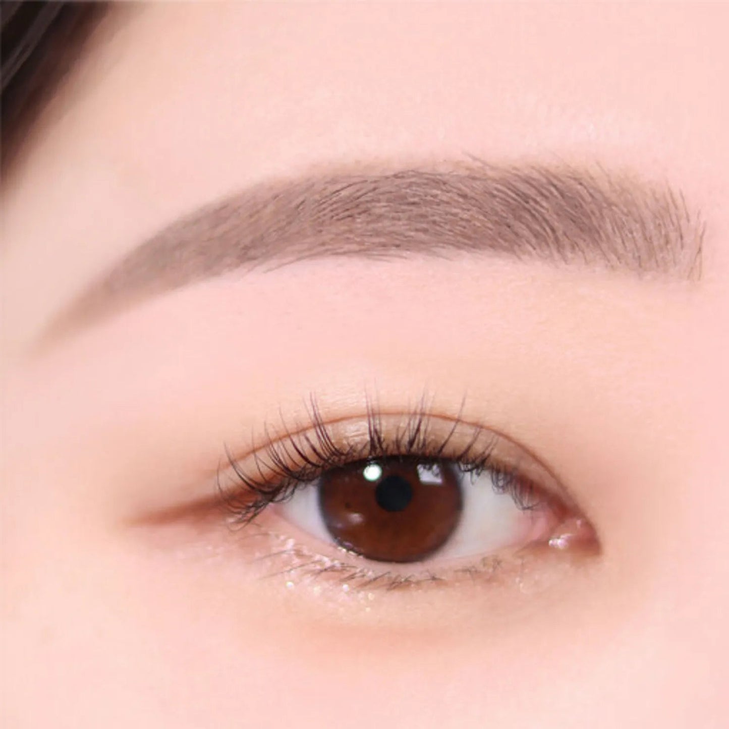 espoir The Brow Color Fixing Cara 3g - Radiance Revolution - espoir - Eyebrow Color