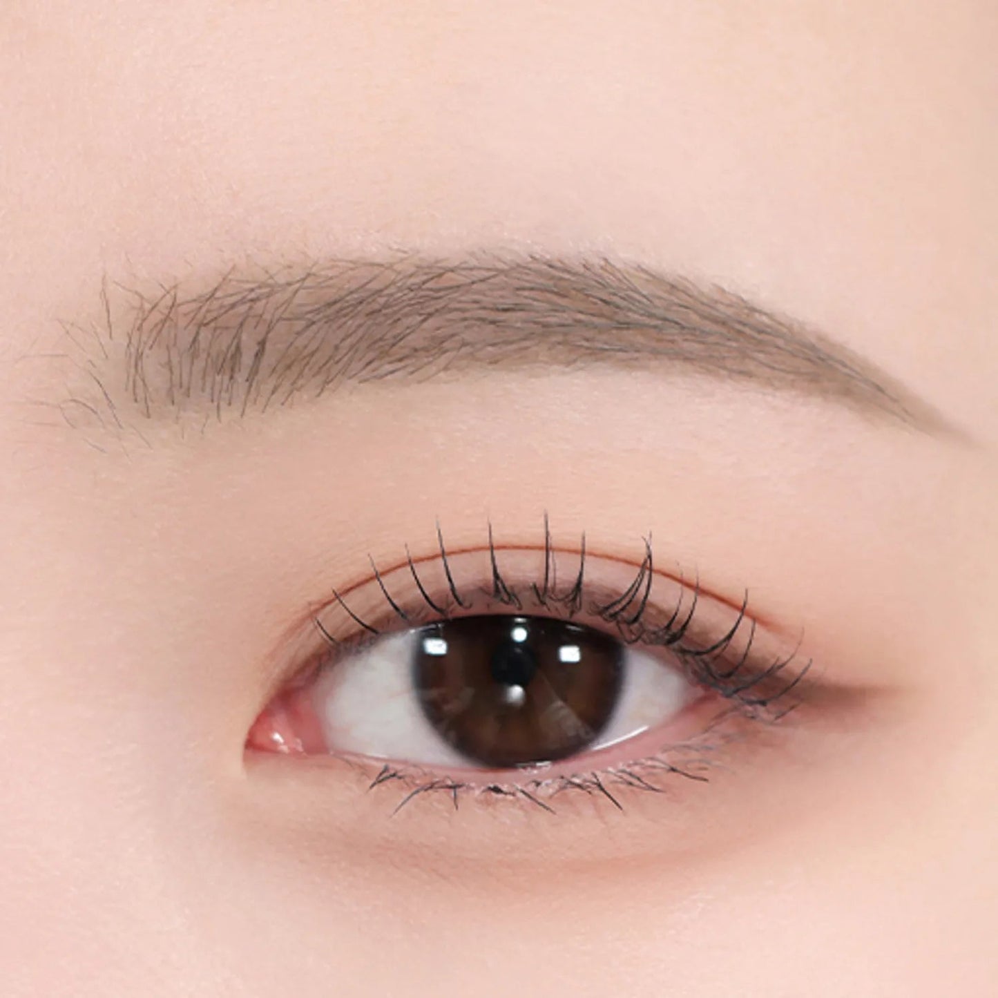 espoir The Brow Color Fixing Cara 3g - Radiance Revolution - espoir - Eyebrow Color