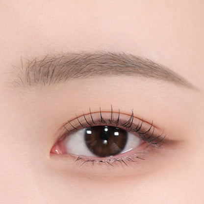 espoir The Brow Color Fixing Cara 3g.