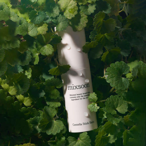 mixsoon Centella Asiatica Stick Balm 11.5ml.