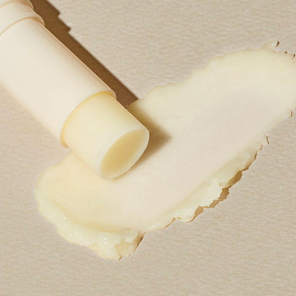 The SAEM Snail Essential EX Wrinkle Solution Multi Stick 10.5g.